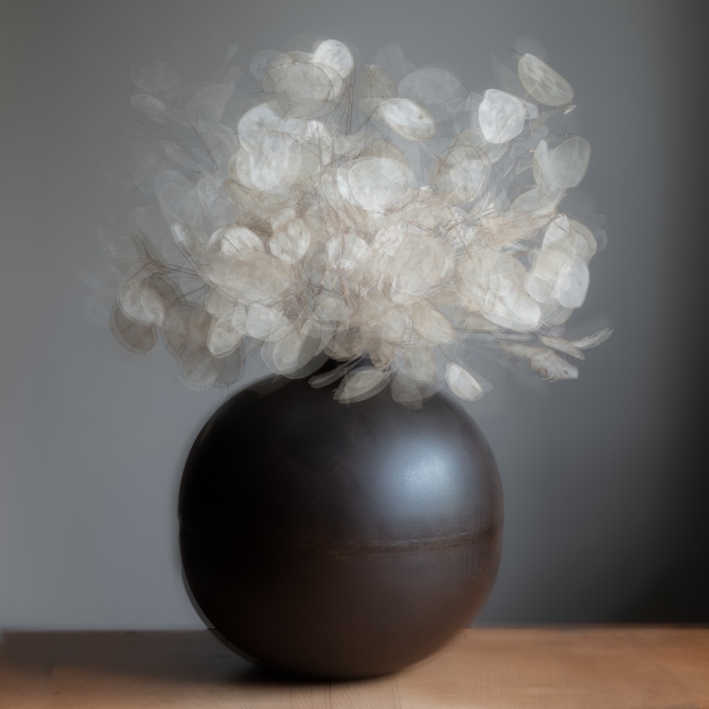 Honesty in a Black Vase